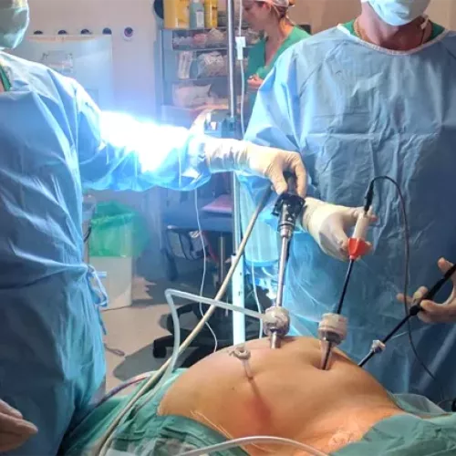 Información sobre embolización en tratamientos urológicos de mínima invasión.