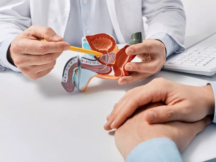 Información sobre cáncer de testículo en el ámbito de la urología oncológica.