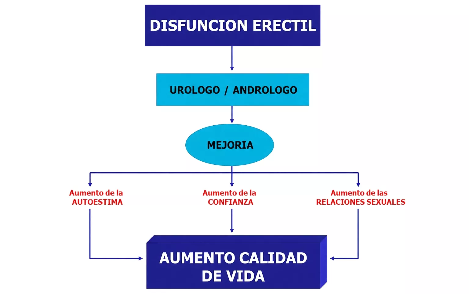 Cavernosografía y arteriografía en UMI Información sobre cavernosografía, arteriografía y embolización de fugas venosas