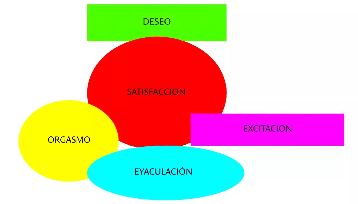 Salud sexual y urología Información sobre salud sexual en el ámbito de la urología