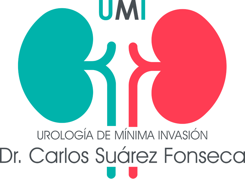 CARLOS SUÁREZ FONSECA